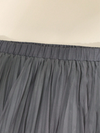 Plus Size Softly Pleated Skirt and Suit Top