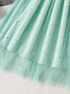 Stars and Glitter Skirt and Top