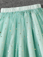 Stars and Glitter Skirt and Top